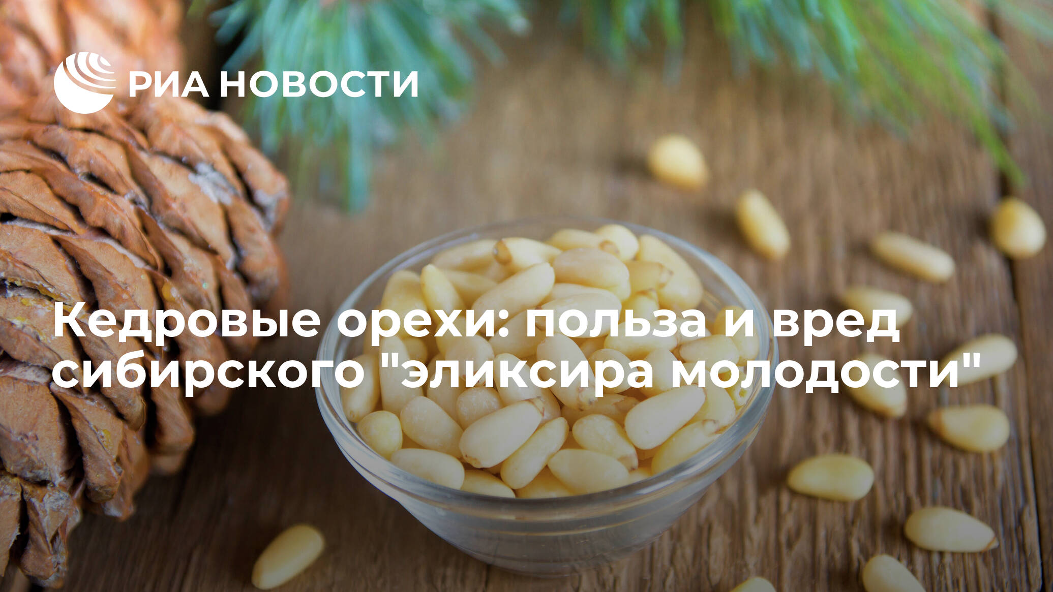 Полезные свойства кедровых орехов или почему их называют сибирским золотом