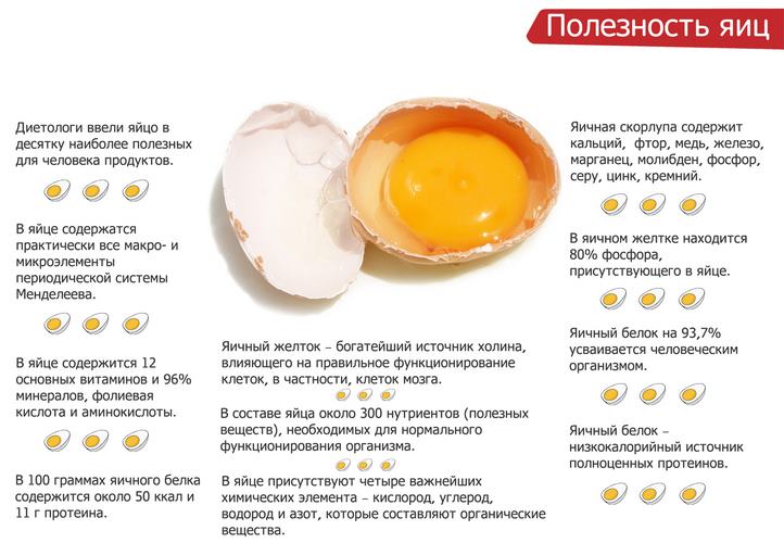 Яйца цесарки: польза и вред для организма, правила приготовления
