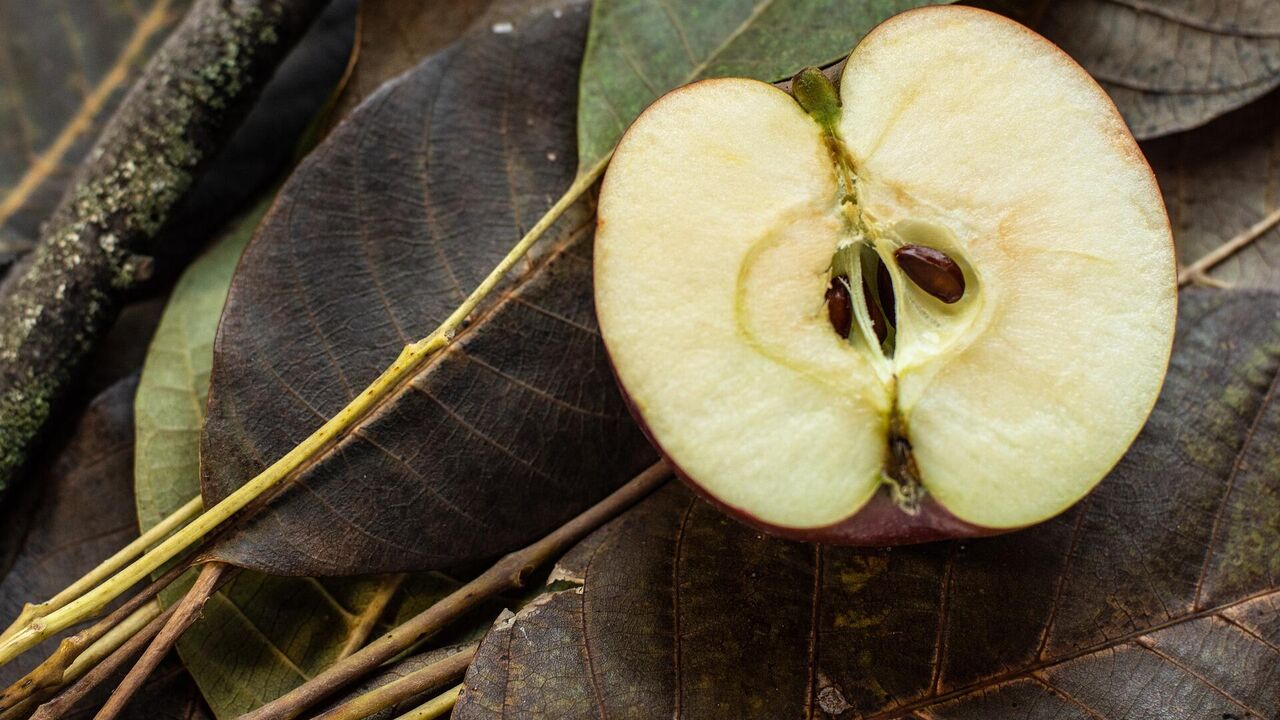 Полезны ли косточки от яблок, можно ли их есть