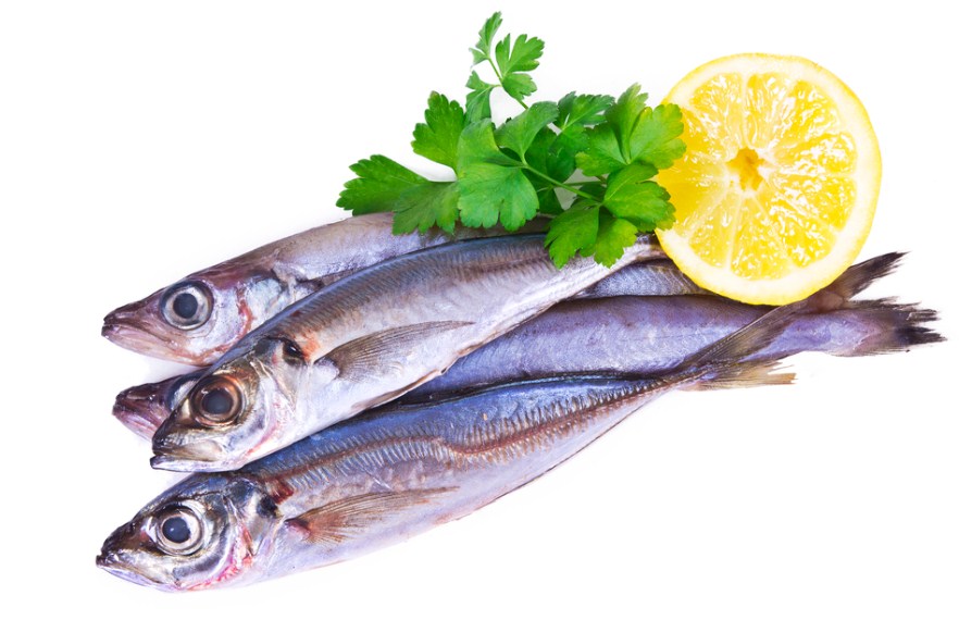 Польза и вред путаcсу: описание и ценные свойства рыбы Химический состав и калорийность Противопоказания к употреблению Отзывы о рыбе