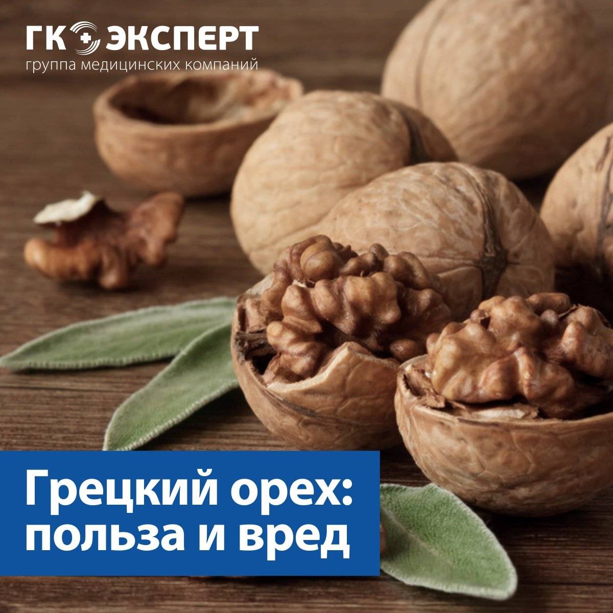 Вся правда о пользе и вреде грецких орехов — священная еда древнегреческих богов!