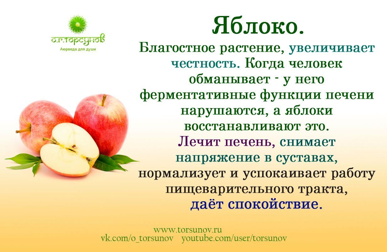 Польза яблок — 10 доказанных свойств для организма человека, а также вред и противопоказания