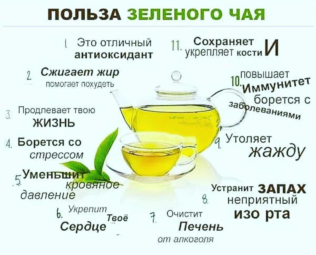 ✅ чай кокейча полезные свойства - nlifegroup.ru