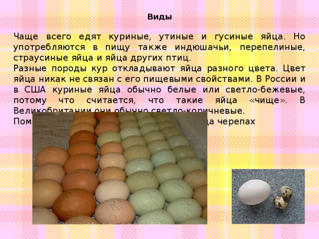 Можно ли употреблять в пищу гусиные яйца: польза и вред продукта