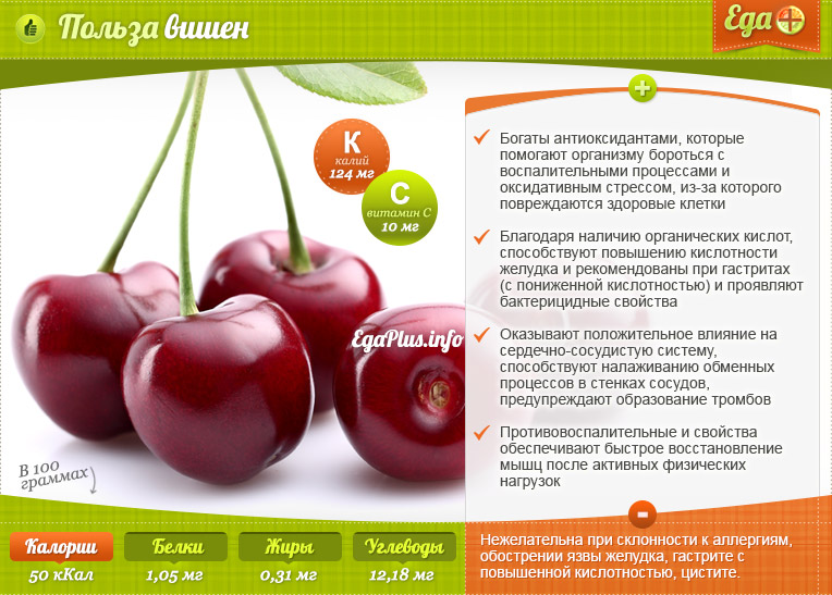 Всё про вишню , её состав и калорийность, полезные свойства и применение в народной медицине, интересные факты о вишнях