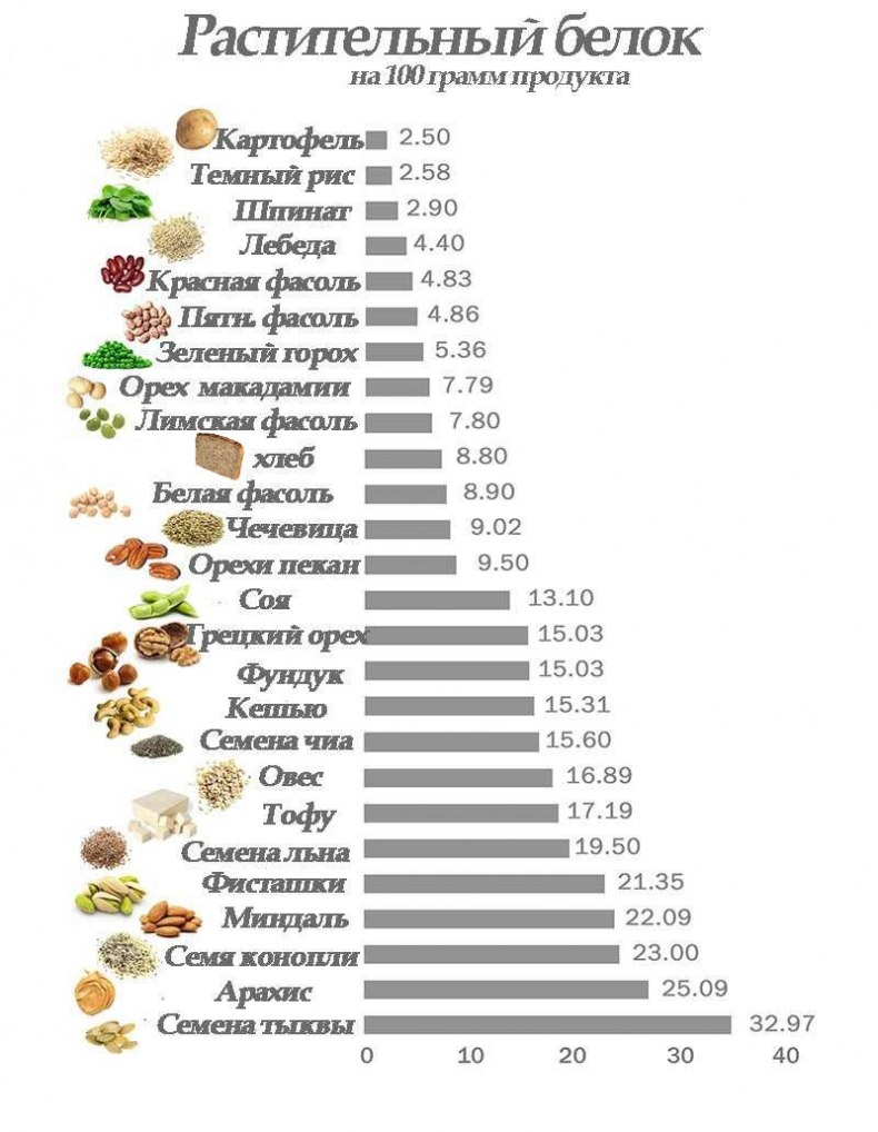 Продукты с высоким содержанием белка (протеина): топ-10