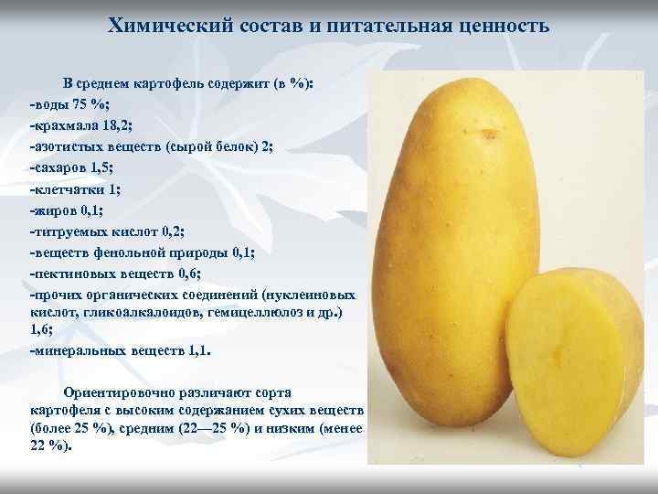 Как определить калорийность жареной картошки