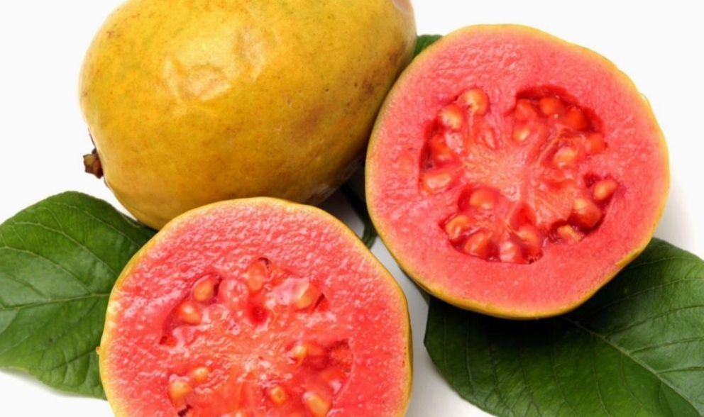 Гуава фрукт, где растёт, состав калорийность, полезные свойства