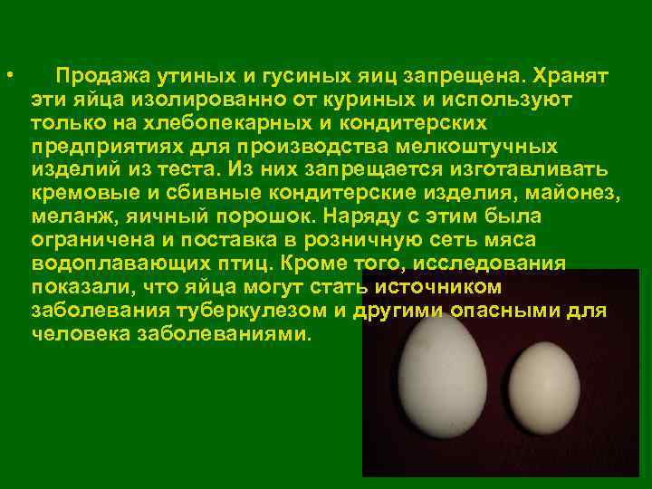 Яйцо гусиное - калорийность, полезные свойства, польза и вред, описание