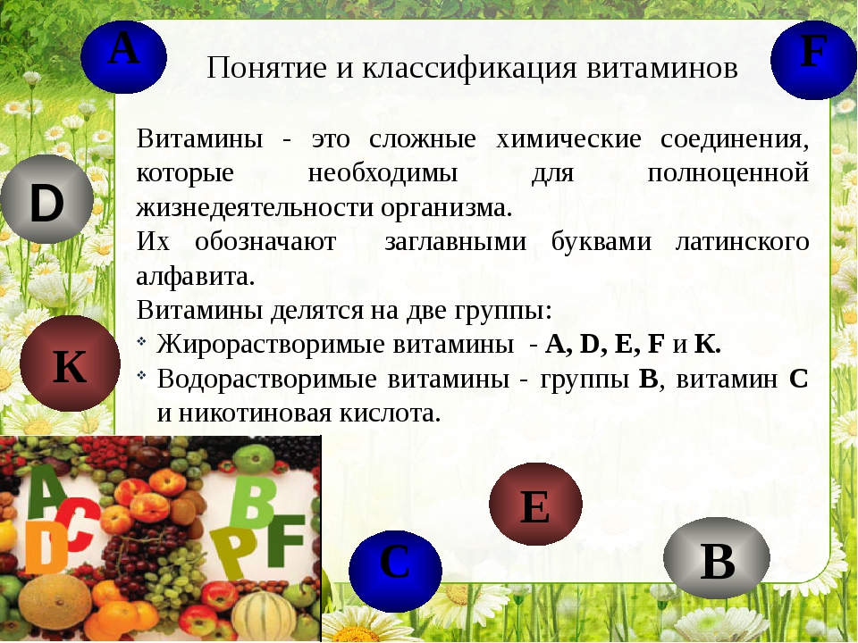 Водорастворимые витамины и их роль :: syl.ru