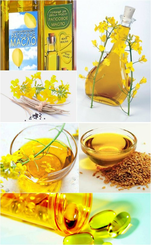 Сливочное масло – состав, лечебные свойства и вред