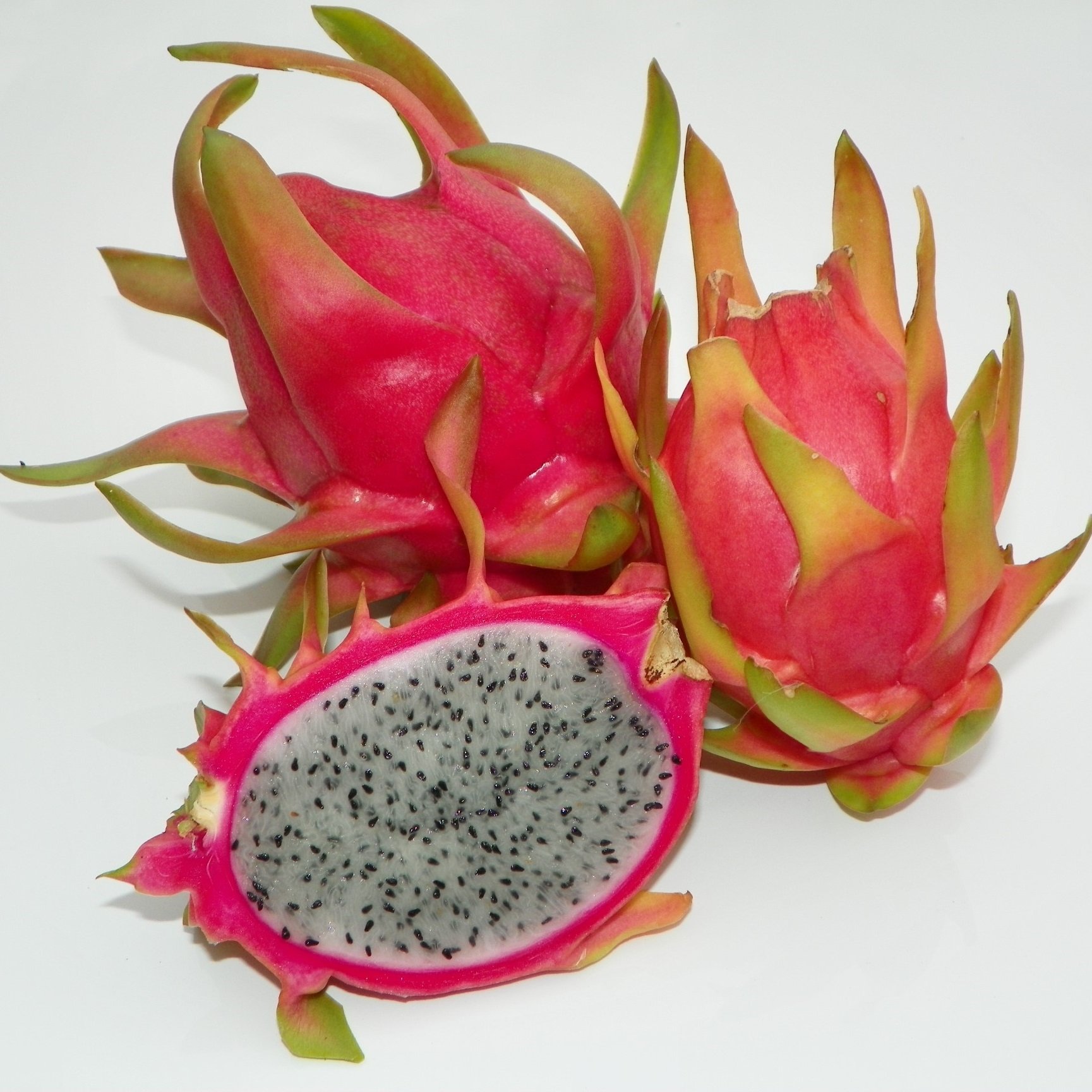 Питахайя - фрукт дракона - как есть, сколько стоит, полезные свойства - pikitrip