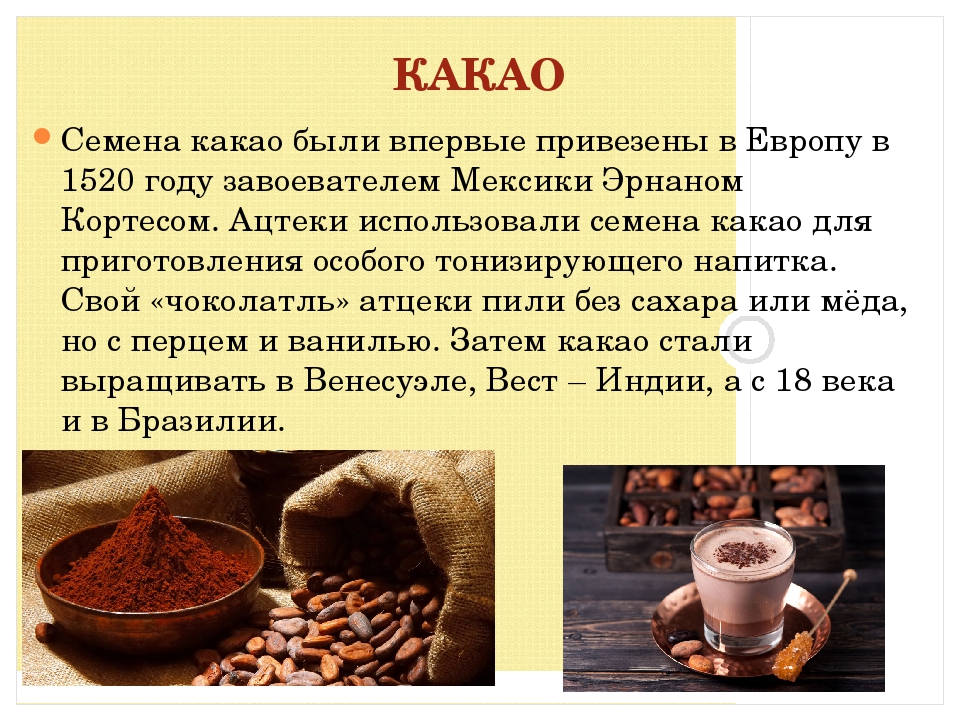 Всё про плод какао, его химический состав, пищевая ценность, наличие витаминов и минералов