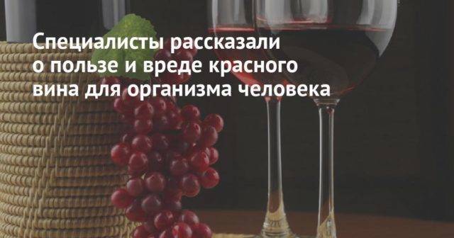 Польза красного вина для здоровья: чем полезно для организма человека