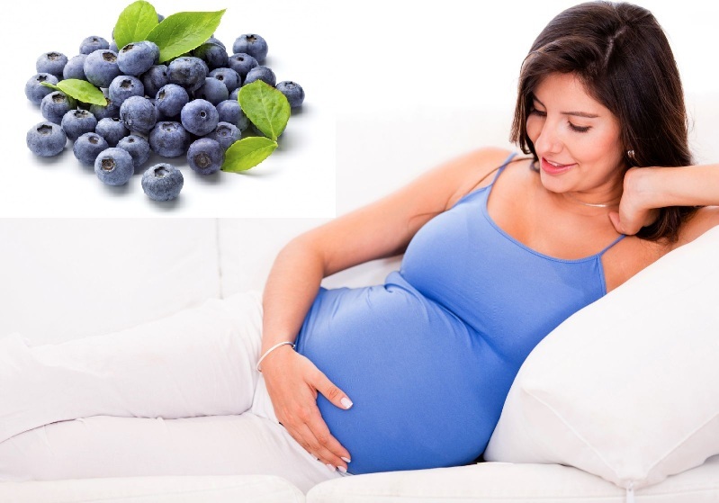 Голубика при грудном вскармливании: состав и ценность ягод, польза, можно ли употреблять кормящей маме Ограничения и противопоказания