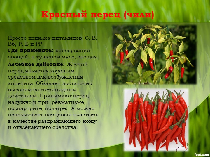 Болгарский перец: калорийность. калорийность желтого, красного, зеленого перца