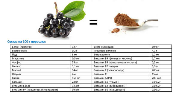 Всё про черноплодную рябину, ее химический состав, пищевая ценность, наличие витаминов и минералов