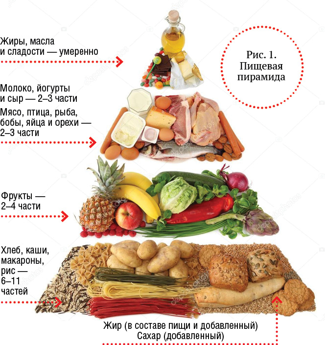 Можно ли есть мясо: виды мяса, питательные вещества, польза и вред - psychbook.ru