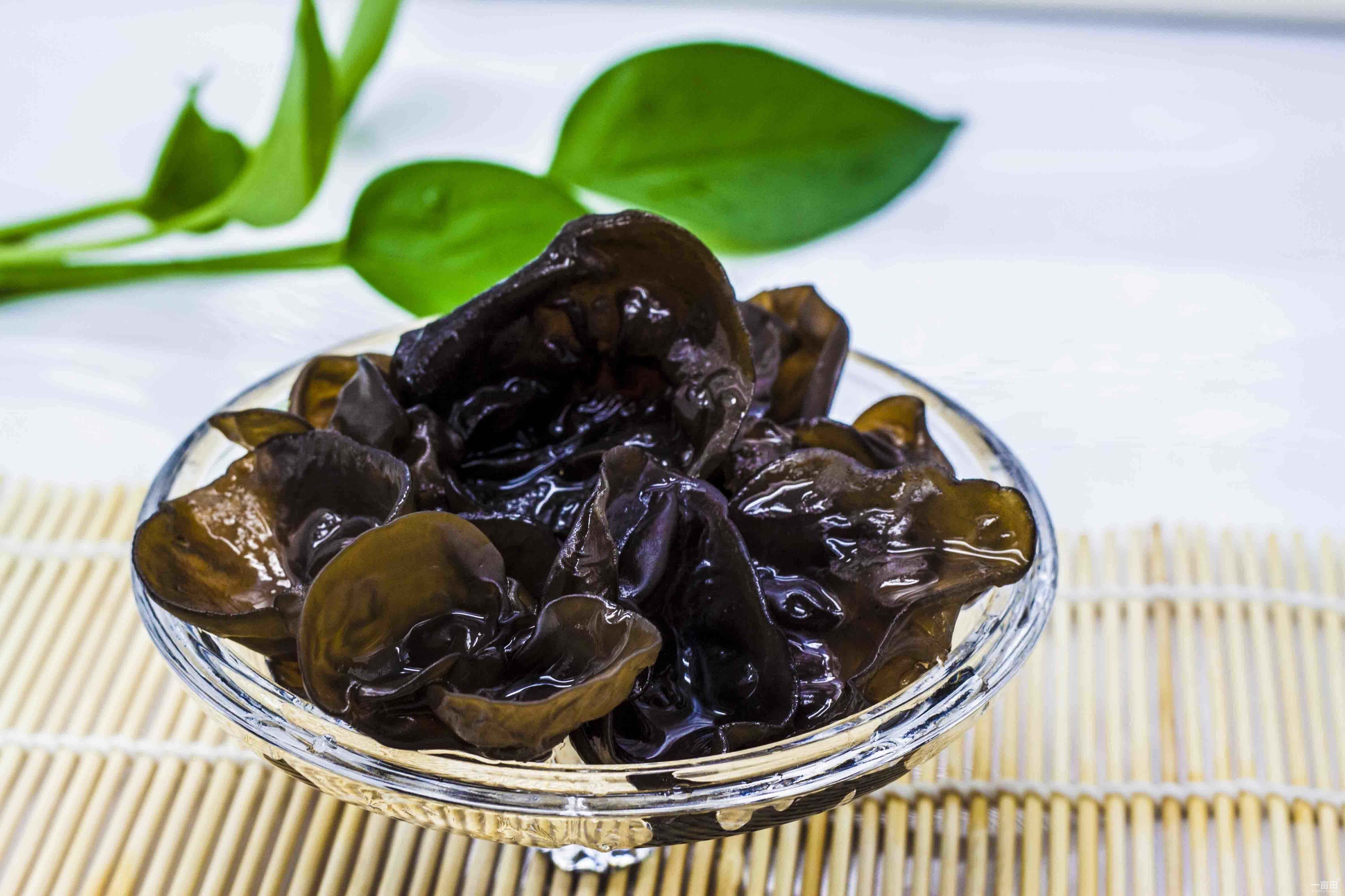 Китайский гриб муэр: полезные свойства, виды, места произрастания, применение в кулинарии, медицине, рецепт китайского супа