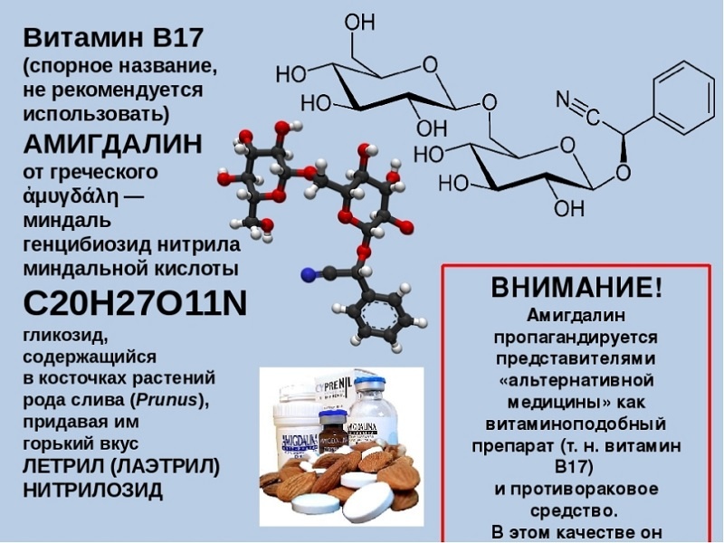 В каких продуктах содержится витамин B17 летрил и для чего нужен организму Применение компонента в лечении рака Содержание амигдалина в абрикосовых косточках
