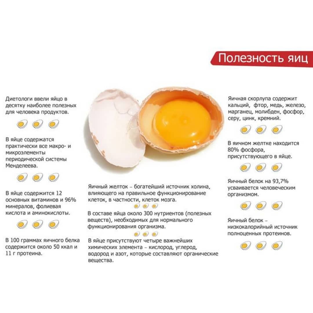 Цесариные яйца – польза и отличие от куриных: чем уникален продукт