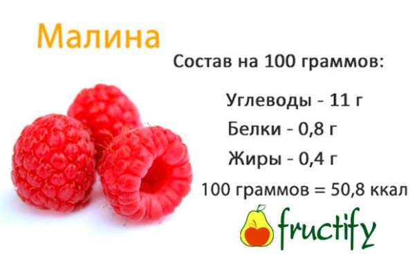Малина: калорийность, состав, полезные свойства ягод, листьев и корня