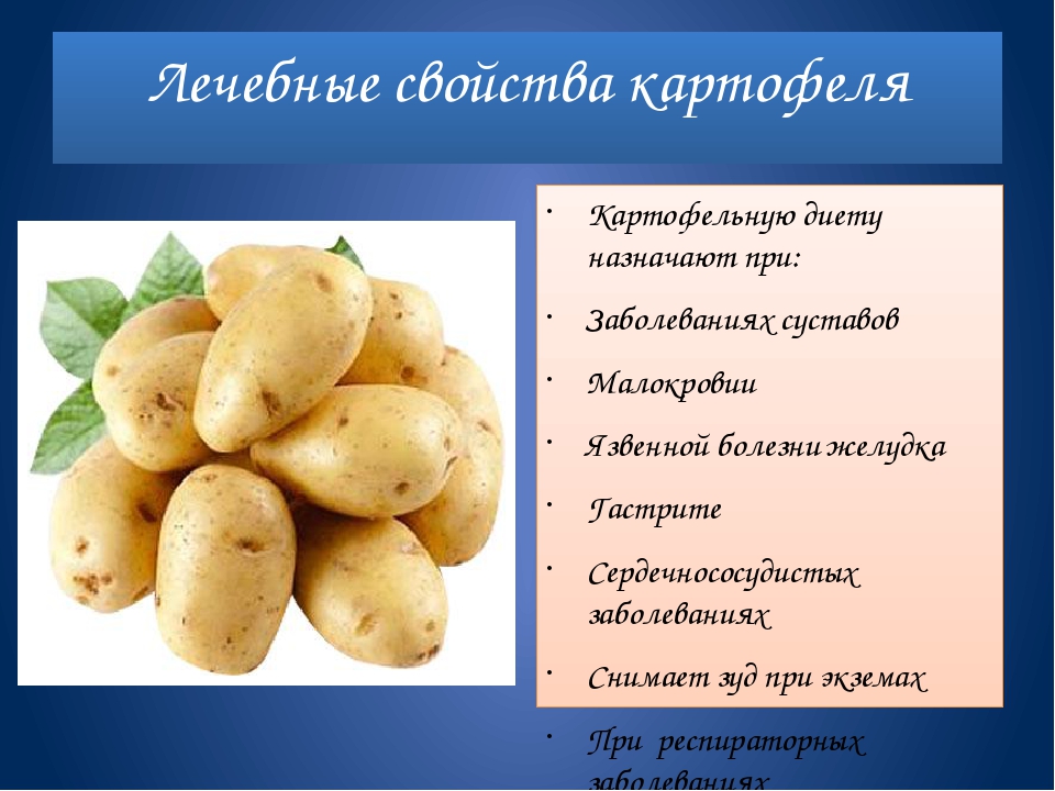 Картофель: полезные свойства крахмалистого овоща. какими свойствами обладает картофель, какой вред несёт - автор екатерина данилова - журнал женское мнение