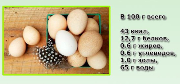 Яйца цесарок: влияние на человека, отличие от куриных