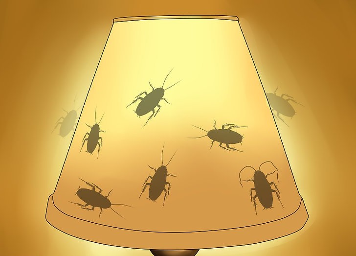 Кварцевая лампа: как устроена и принцип работы, помогает ли от насморка, грибка, насекомых Воздействие на зрение, как пользоваться без вреда для организма