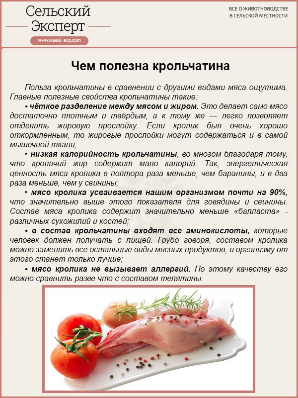 Мясо зайца: польза для организма человека, не опасно ли есть, описание, свойства, калорийность тушеного, противопоказания