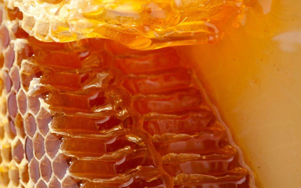 Мёд в сотах - польза и вред как принимать, можно ли глотать воск, как хранить, калорийность отзывы