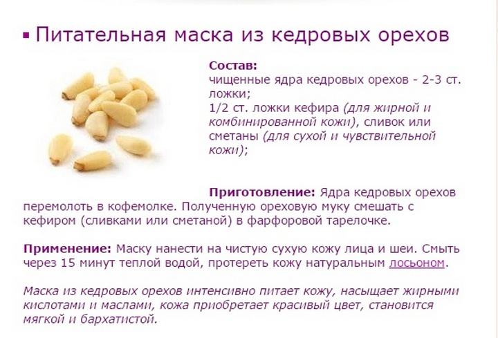 Кедровые орехи: польза и вред для организма. применение масла, ядер, скорлупы