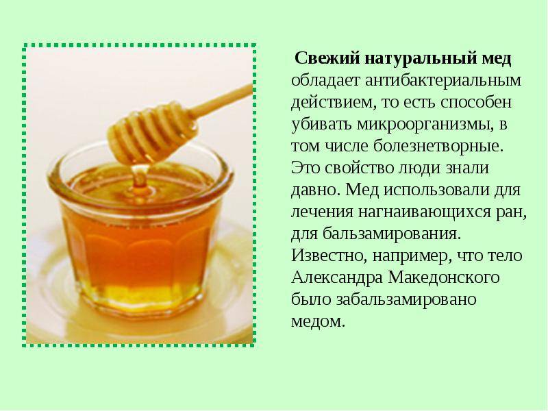 Как использовать мед с прополисом и в чем его полезные свойства, как его принимать