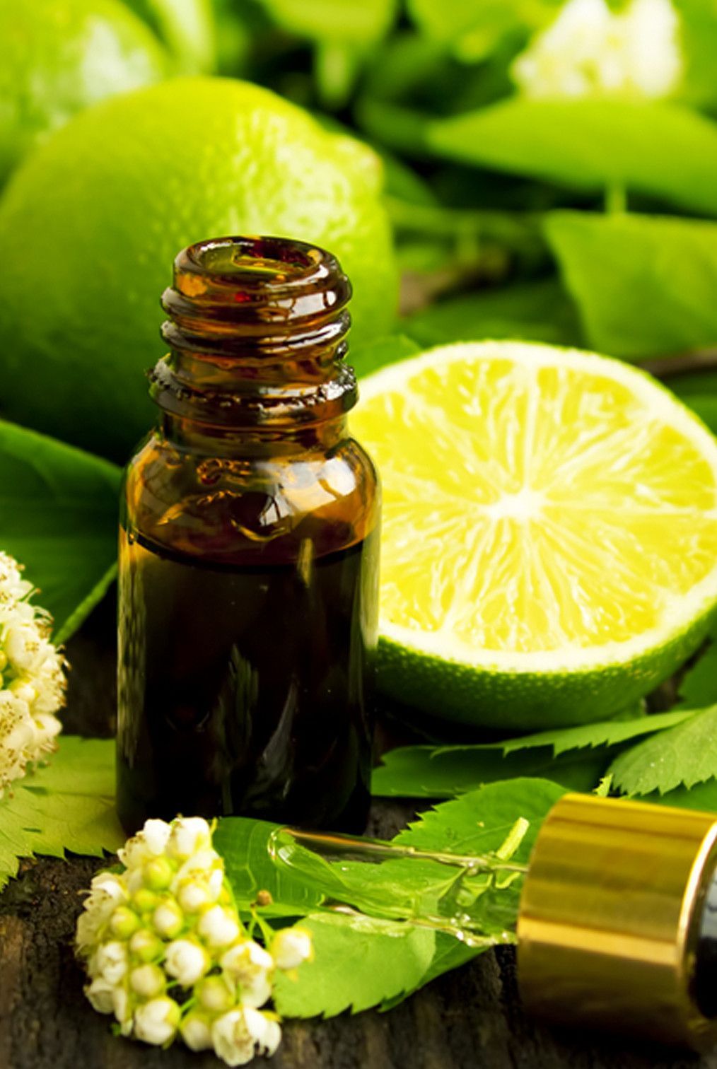 Эфирное масло лайма (citrus aurantifolia swingle) — свойства, применение, польза и вред — aroma joy