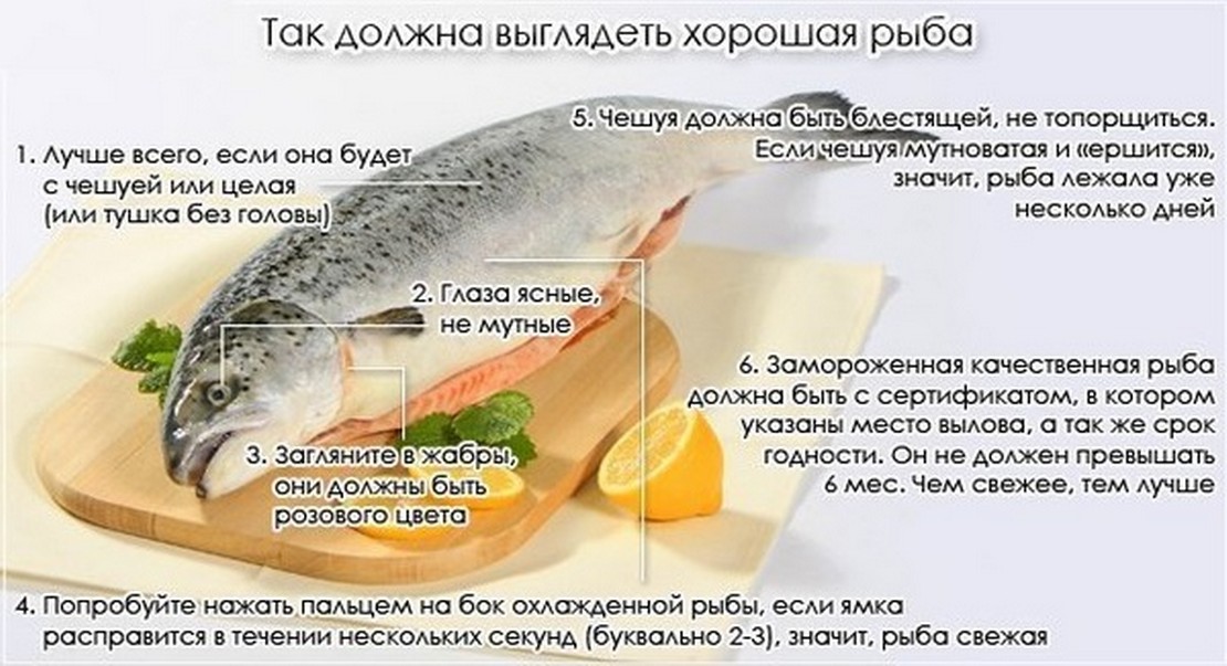 Рыба кета: польза и вред